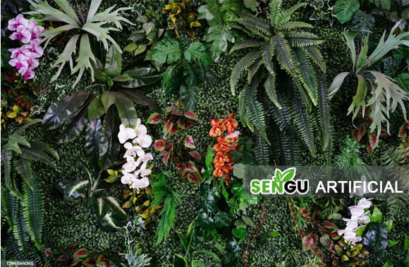 about-greenforet-img