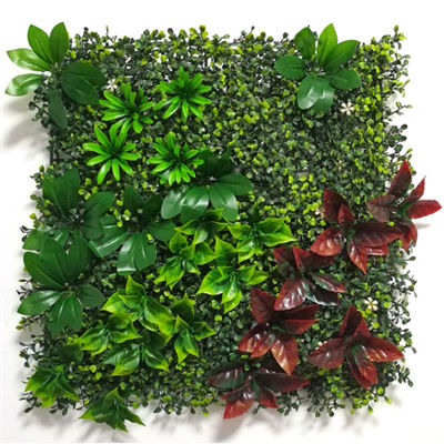 50*50cm Artificial Plant Wall