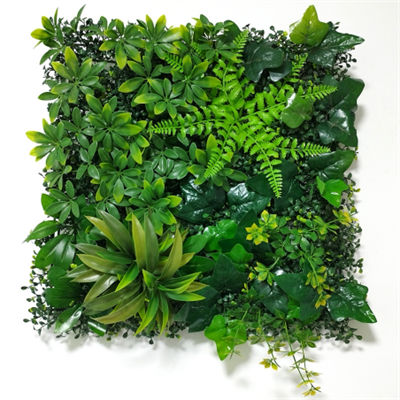50*50cm Artificial Plant Wall