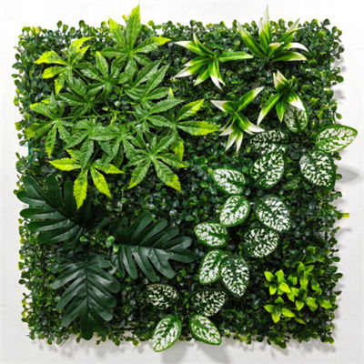50*50cm Artificial Plant Wall