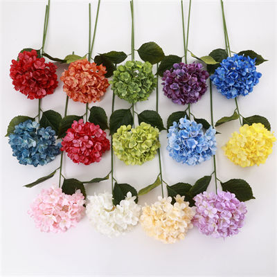 144-flower-hydrangea