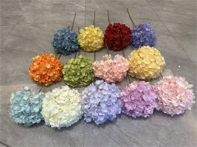 288-dream-hydrangea