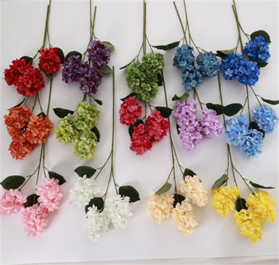 3-head-hydrangea