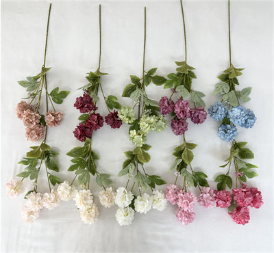 4-flower-hydrangea