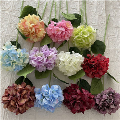 Big-silk-hydrangea