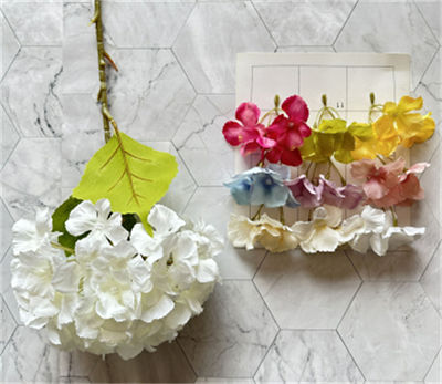 Big-single-hydrangea