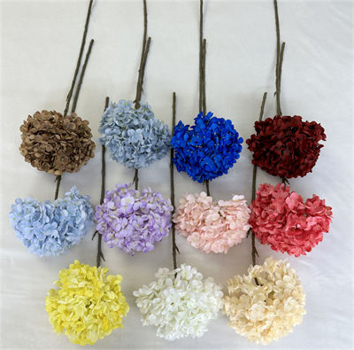 Big-single-hydrangea02