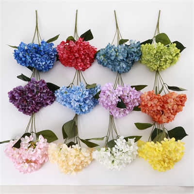 Hydrangea-bunch-01