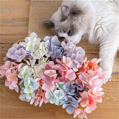 Hydrangea-head