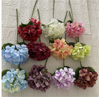 Little-silk-hydrangea