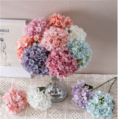 Love-hydrangea