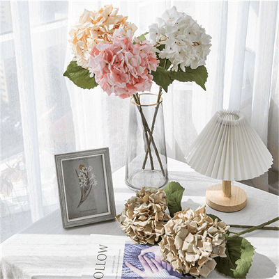 Roll-hydrangea