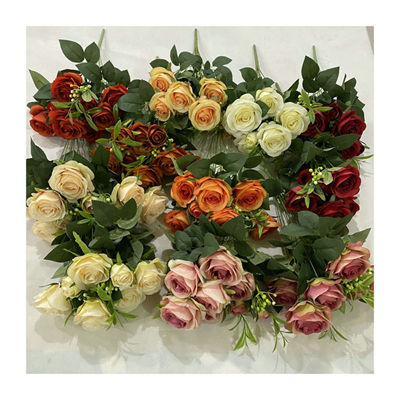 10-sofia-rose