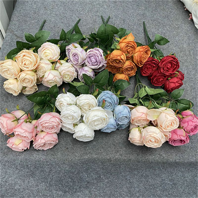 7-Royal-Roses