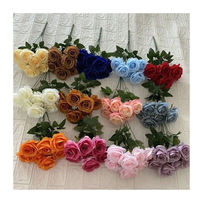7-dream-rose