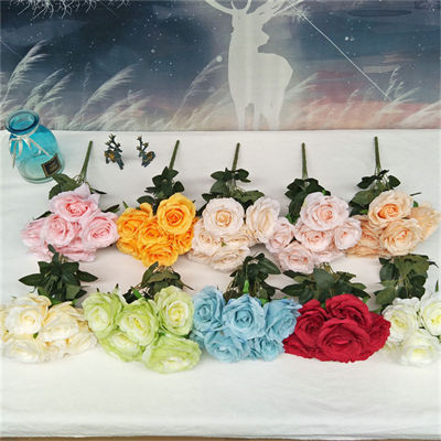 7-new-rose