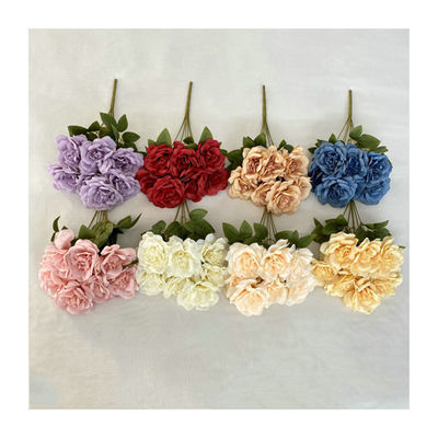 7-snow-rose