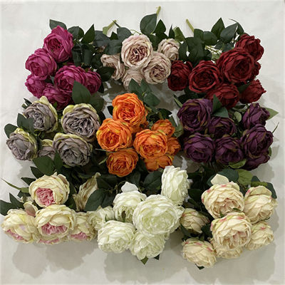 9-French-rose