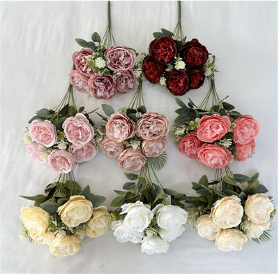 9-Princess-rose
