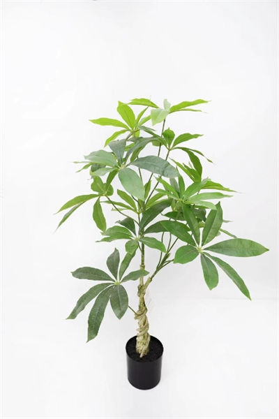 0.9m Money Tree