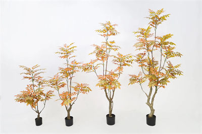 Autumn-colored sumac