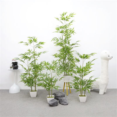 Bamboo Tree