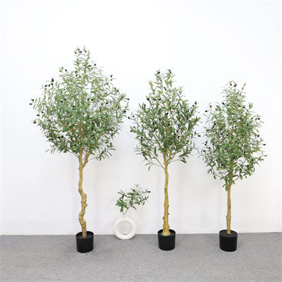 Encrypted olive tree