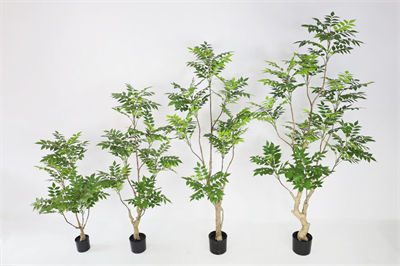 Green sumac
