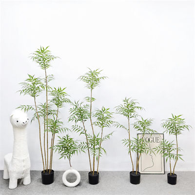 Ten Merit Trees