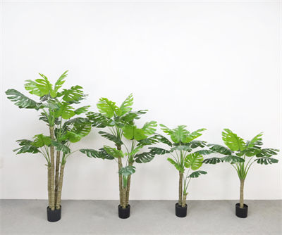 Thick rod Monstera